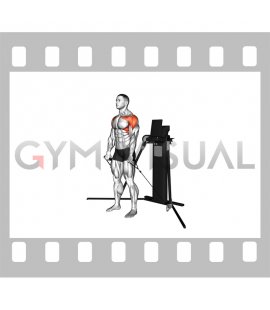 Cable Standing Front Raise (VERSION 3)