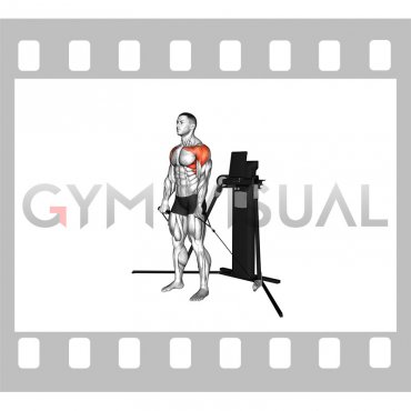 Cable Standing Front Raise (VERSION 3)