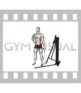 Cable Standing Side Bend (VERSION 3)