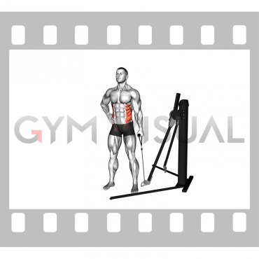 Cable Standing Side Bend (VERSION 3)