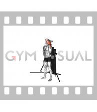 Cable Standing Single Arm Overhead Triceps Extension (VERSION 3)