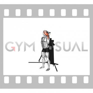 Cable Standing Single Arm Overhead Triceps Extension (VERSION 3)