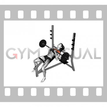 Barbell Incline Close Grip Bench Press (female)