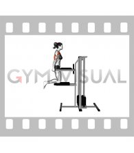 Assisted Chest Dip (kneeling) (female)