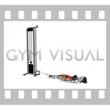 Cable Reverse Crunch (female)