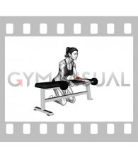 Barbell Palms-up Wrist Curl Over a Bench (female)
