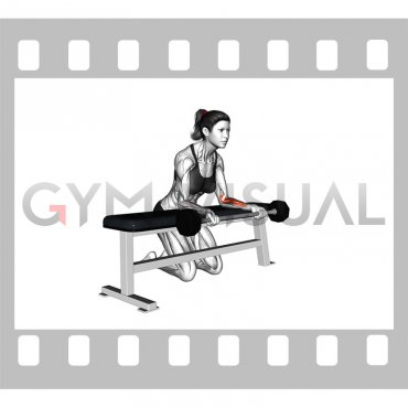 Barbell Palms-up Wrist Curl Over a Bench (female)