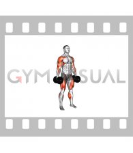 Dumbbell Hang Clean