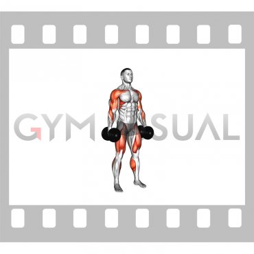 Dumbbell Hang Clean