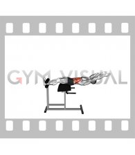 Glute Ham Developer Straight Arms Sit up
