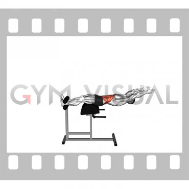 Glute Ham Developer Straight Arms Sit up