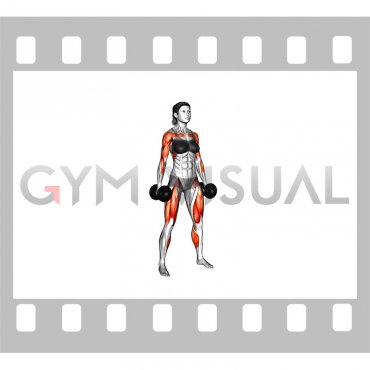 Dumbbell Hang Clean (female)