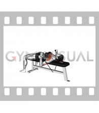 Band Bench Press (female)