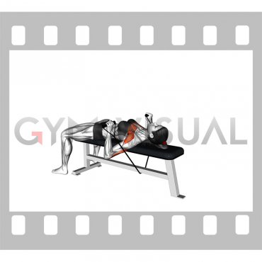 Band Bench Press (female)
