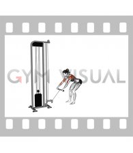 Cable Bent Over Row (female)