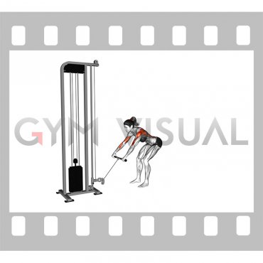 Cable Bent Over Row (female)