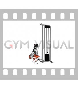 Cable Squat (female)