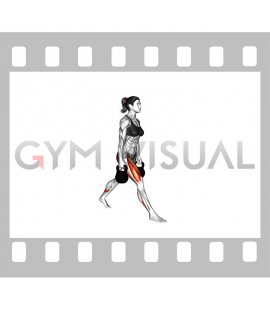 Kettlebell Split Squat (female)