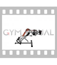 Weighted Hyperextension (female)