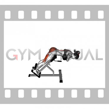 Weighted Hyperextension (female)