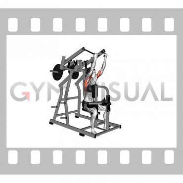 Lever Reverse grip Lateral Pulldown (plate loaded) (female)
