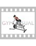 Lever Lying T bar Row (female)