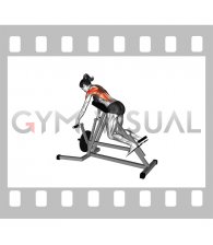 Lever Lying T bar Row (female)