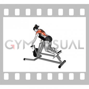 Lever Lying T bar Row (female)