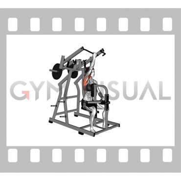 Lever Single Arm Reverse grip Lateral Pulldown (plate loaded) (female)