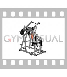 Lever Single Arm Reverse grip Lateral Pulldown (plate loaded)