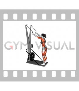 Ski Ergometer (female)