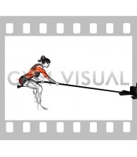 Power Sled Pull (female)