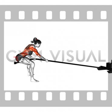 Power Sled Pull (female)