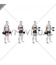 Dumbbell Bent Arm Iso Hold