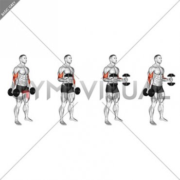Dumbbell Bent Arm Iso Hold
