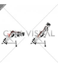 Weighted Hyperextension (female)
