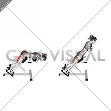 Weighted Hyperextension (female)