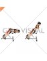 Weighted Hyperextension (female)