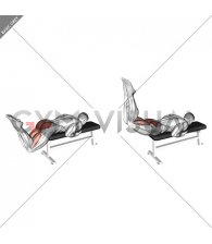 Reverse Hyperextension on Bench