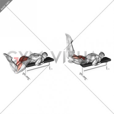 Reverse Hyperextension on Bench