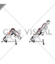 45 degree Hyperextension (arms in front of chest) (male)
