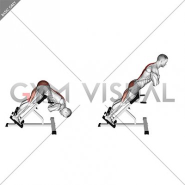 45 degree Hyperextension (arms in front of chest) (male)