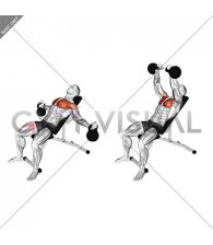 Kettlebell Incline Fly