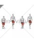 Lateral Hurdle Jump (male)