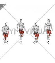 Lateral Hurdle Jump (male)