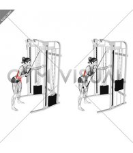 Cable Single Arm Triceps Pushdown (rope attachment) (female)