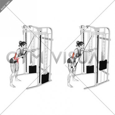 Cable Single Arm Triceps Pushdown (rope attachment) (female)