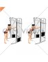 Cable Single Arm Triceps Pushdown (rope attachment) (female)