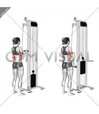 Cable Pushdown (female)