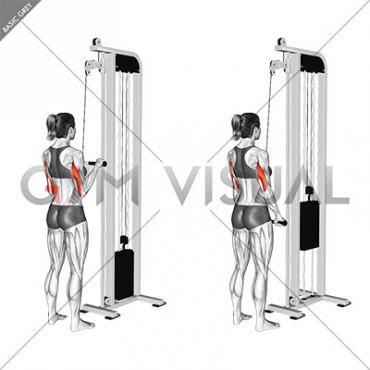 Cable Pushdown (female)